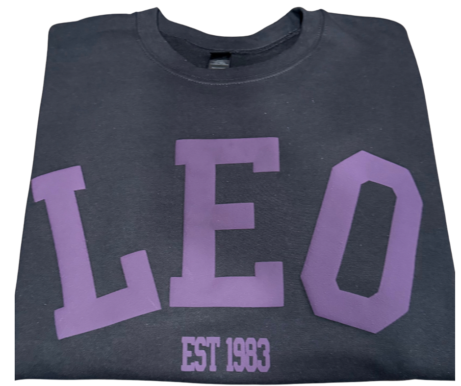 Custom Zodiac Hoodie / Sweatshirt – Personalized With Zodiac Sign & Est. Year